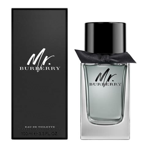 mr burberry burberry for men edt|burberry eau de toilette men.